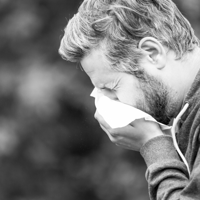 doctors allergy testing